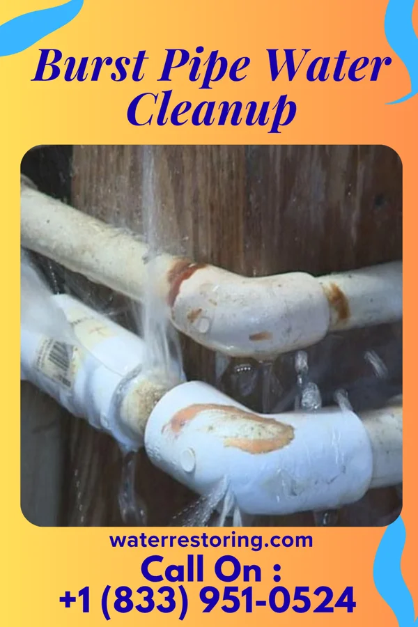 Burst Pipe Water Cleanup in Spring Lake, IN