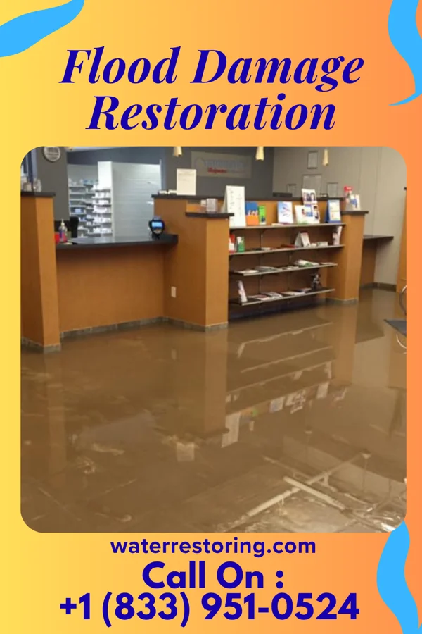 Flood Damage Restoration in Spring Lake, IN